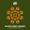Blown Agent Orange