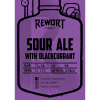 Experimentarium Vol.7 (Sour Ale With Blackcurrant)