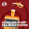 Goseline Pump: Sea Buckthorn