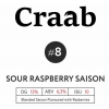 #8 Sour Raspberry Saison