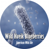 WKB (Wild Kveik Blueberries)