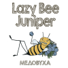 Lazy Bee Juniper