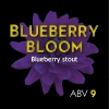 Blueberry Bloom