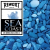 Sea Coast (Dry Hopped Gose B.A. Wine 1.0)