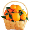 Citrus Basket