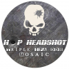 Hop Headshot: Mosaic