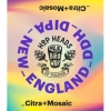 Обложка пива New England DDH DIPA Citra + Mosaic