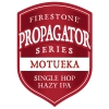 Propagator Series: Motueka