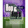 Обложка пива HOP&HOP'S Mosaic