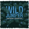 Wild Juniper