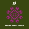 Blown Agent Purple