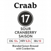#17 Sour Cranberry Saison