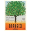 Orange3 (Апельсиновое Дерево)