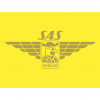 Wing Pin Series 3 - SAS Spontanfruitnelson