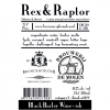 Rex & Raptor