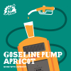 Goseline Pump: Apricot