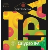 Calypso IPA